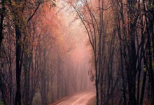 转折点！葡萄牙体育复出首秀，欧超杯赛前攻防权衡，底气十足，年轻球员得到机会的简单介绍九游会平台